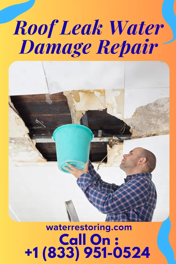 Roof Leak Water Damage Repair in Easton, WI