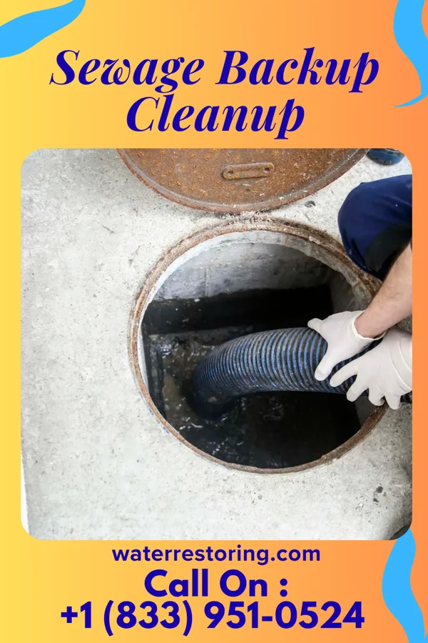 Sewage Backup Cleanup in Easton, WI